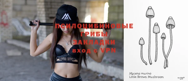 молекула духа Липки